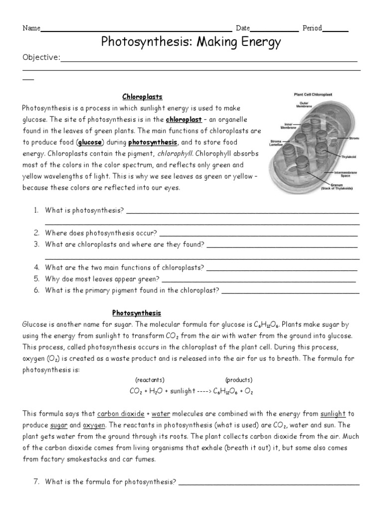 Photosynthesis Worksheet 1 Pdf Photosynthesis Cellular Respiration