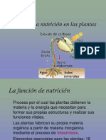 11_nutricion_plantas