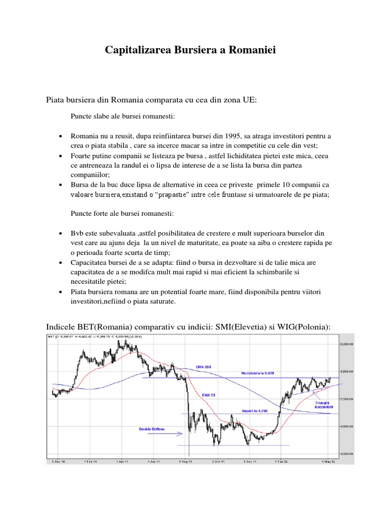 Proiect Capitalizarea Bursiera | PDF