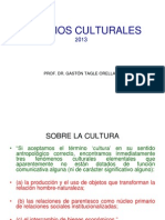 Estudios Culturales