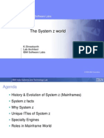 The System z World