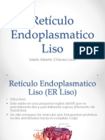 ER Liso: Síntesis lipídica y detoxificación