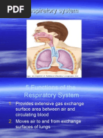 Download Respiratory System by subhojitnayek SN24614435 doc pdf