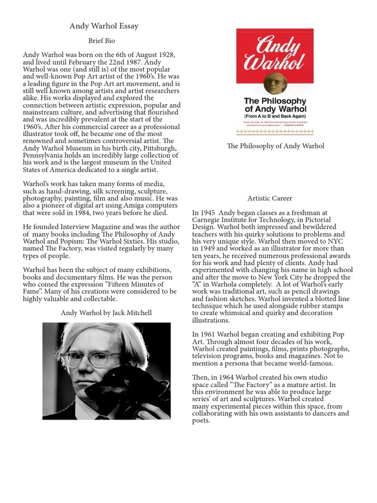 Andy warhol essays image