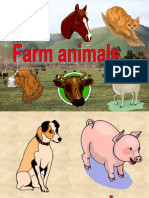 Animals Pps