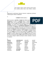 Clau Accentuació PDF