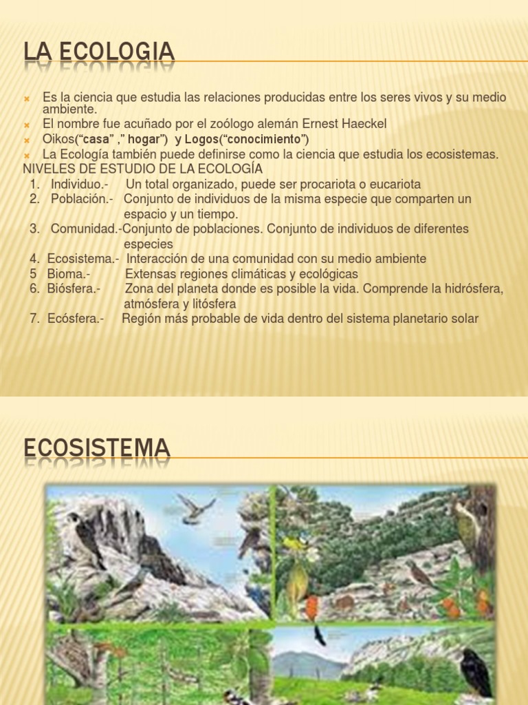 Niveles y Dinámicas de Ecosistemas | PDF | Ecología | Ecosistema