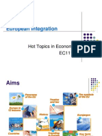 Hot Topics in European Integration: EU Membership and Economic Stages