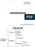 Artropodos. Tipos Tratamientos