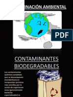 Contaminación Ambiental 1