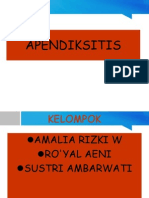 APENDIK 2