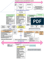 Esquema  Procesalpenal  Chile