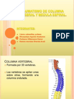 Funciones y lesiones de la columna vertebral