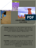 Color Ambiental y Color Cultural 2013