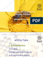 Apicultura