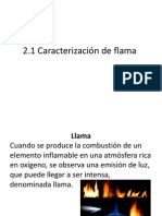 Caracterización de llamas: clasificación por composición, flujo, estabilidad y fase inicial