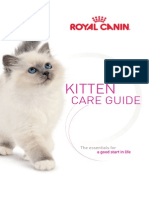 RC US Kitten Guide_interactive_reader