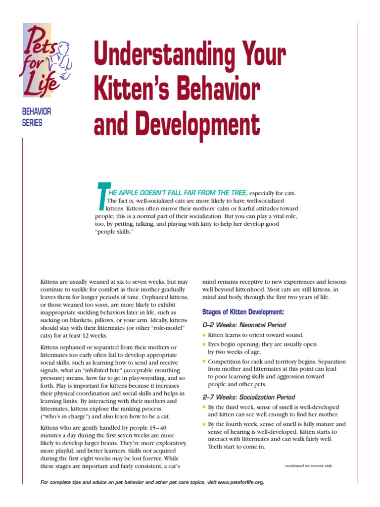 Understanding Your Kitten's Behavior and Development | PDF | Kitten | Cats