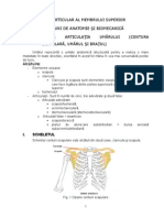 42741877 Bilanţul Articular Al Membrului Superior