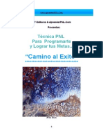 TecnicaPNL-CaminoalExito-AprenderPNL