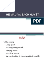 6 Máu Bạch Huyết