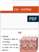 4 Da co xuong