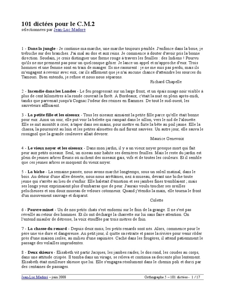 Dictées Préparées Cm2 Gratuites Pdf Dictée CM2 | PDF | Lion | Voile (navire)