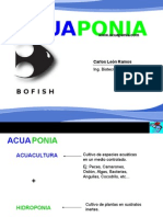 9662026-Acuaponia.pps