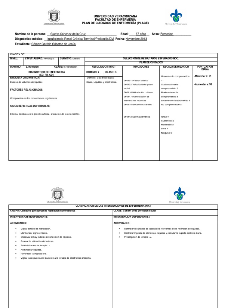 Plan de Cuidados de Enfermeria Enfermería Medicina CLINICA