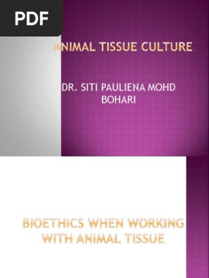 Bioethics When Working With Animal Tissue 3b Bioethics Genetic Engineering