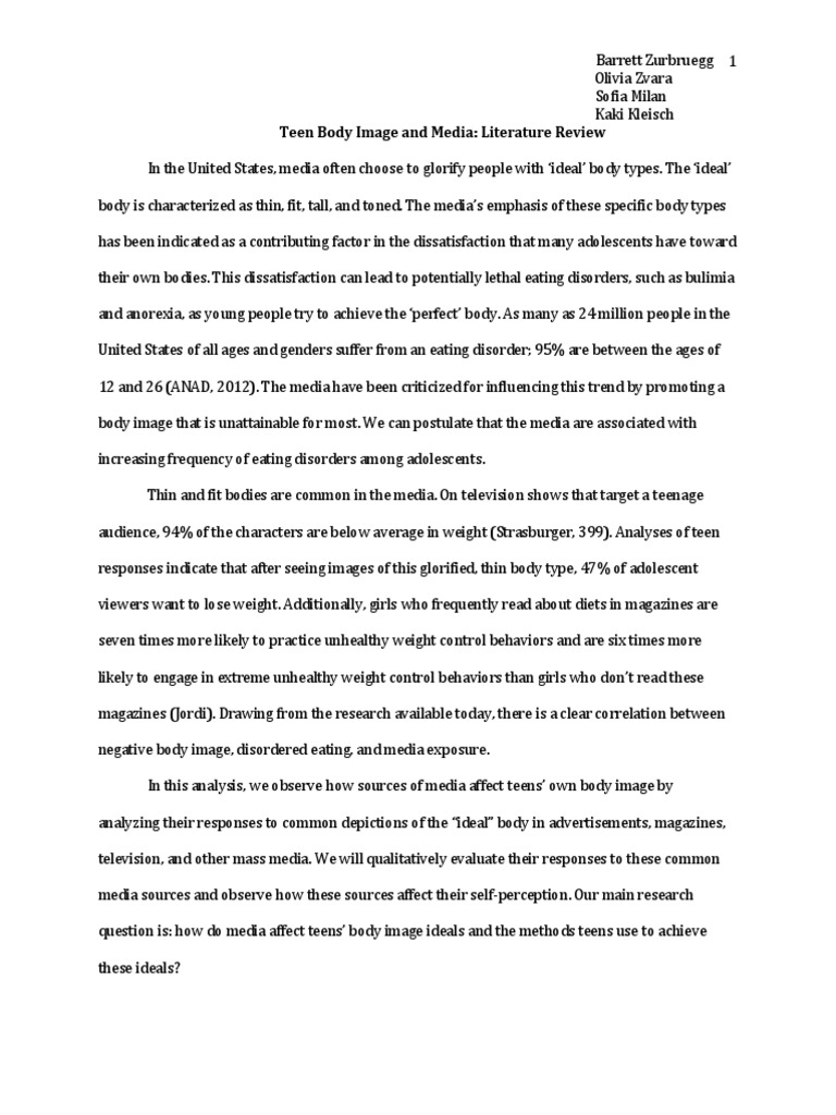 Literature review audience picture