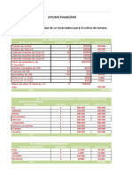 ESTUDIO FINANCIERO INVERNADERO