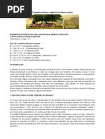 Artigo 01 ExemploPosito Negativo Lideranca