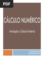 1 - Introdução Ao Cálculo Numérico