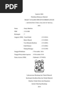 Download Analisis Struktur Mikro by Saniy Shabrina SN246300848 doc pdf