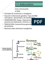 Clase Acidos Nucleicos