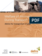 Welfare Animals