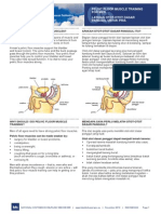 05PelvicFloorMenIndonesian PDF