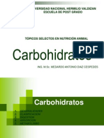 Clase IV. Digestion de Los Carbohidratos