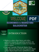 Economics and Marketing Balochistan