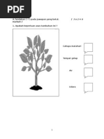 Download Ujian Penilaian Dunia Sains Dan Teknologi Tahun 2 KSSR by Sistem Guru Online SN246325895 doc pdf