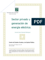 Sector Privado Energia Electrica