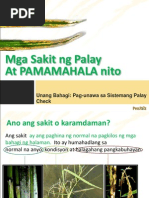 Sistemang Palaycheck para Sa Palayang May Patubig PDF | PDF