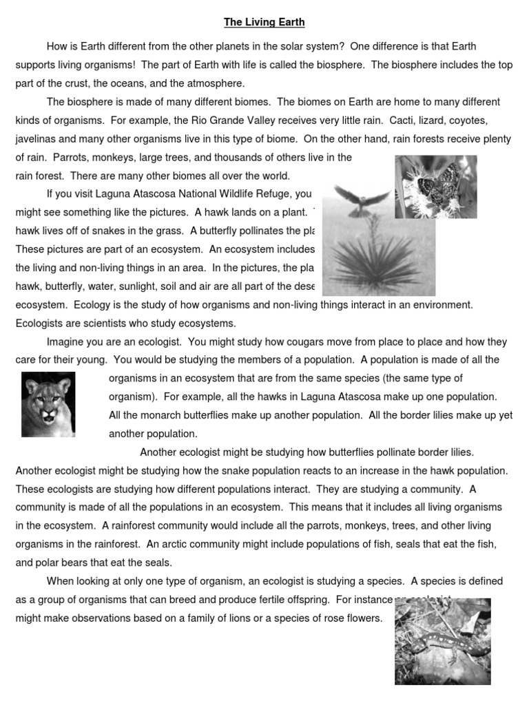 Levels of Organization Story PDF Ecology Ecosystem