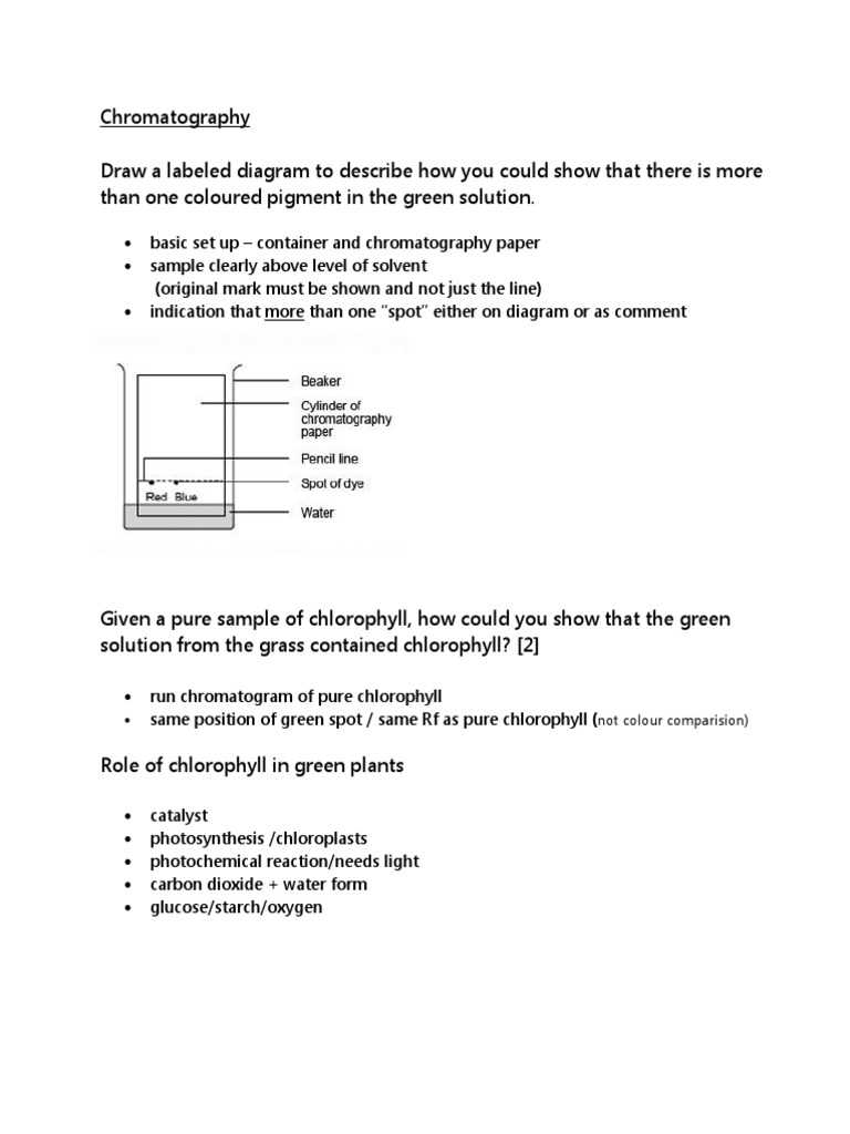 Notes Chromatography IGCSE PDF