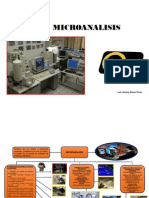 Microanalisis Luis Bravo