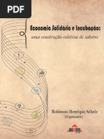 Economia Solidaria e Incubacao-E-book