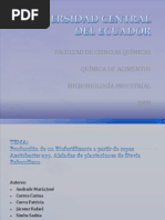 Download Produccin de un Biofertilizante a partir de cepas Azotobacter spp Aisladas de plantaciones de Stevia Rebaudiana2 by AzotobacterStevia SN24636741 doc pdf