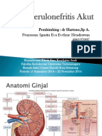 Glomerulonefritis Akut-Refrat