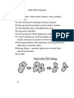 Single Celled Organisms 2